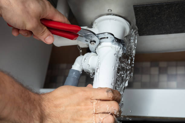 Best Sewage cleanup and water damage restoration  in Ridley Rk, PA