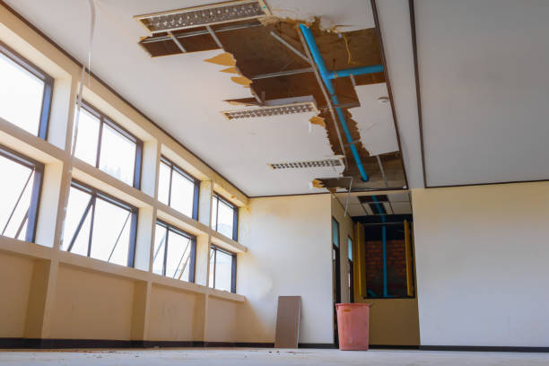 Best Residential water damage restoration  in Ridley Rk, PA