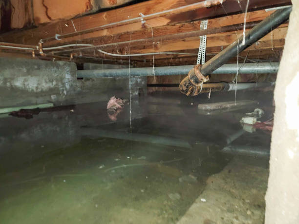 Best Basement water damage restoration  in Ridley Rk, PA