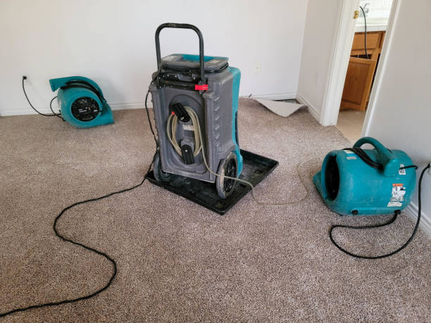 Best Emergency water damage restoration  in Ridley Rk, PA