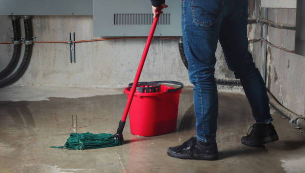 Best Flood damage cleanup  in Ridley Rk, PA