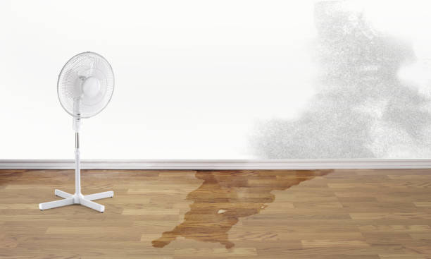 Best 24/7 water damage repair  in Ridley Rk, PA