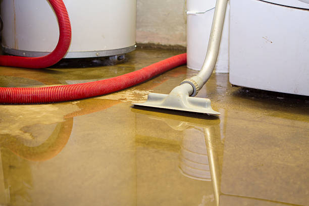 Best Water damage contractors near me  in Ridley Rk, PA