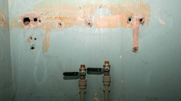 Best Flood restoration services  in Ridley Rk, PA