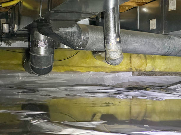 Best Carpet water damage restoration  in Ridley Rk, PA
