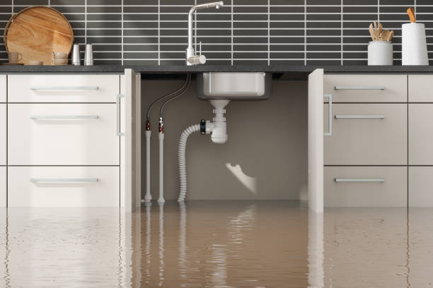 Best Water damage restoration near me  in Ridley Rk, PA